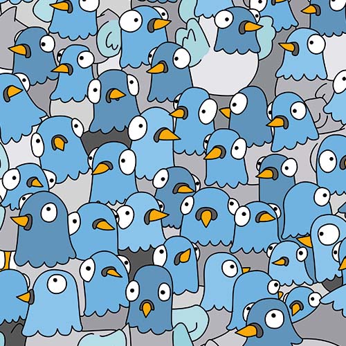 Conjunto de palomas de color azul y gris, están todas amontonadas.